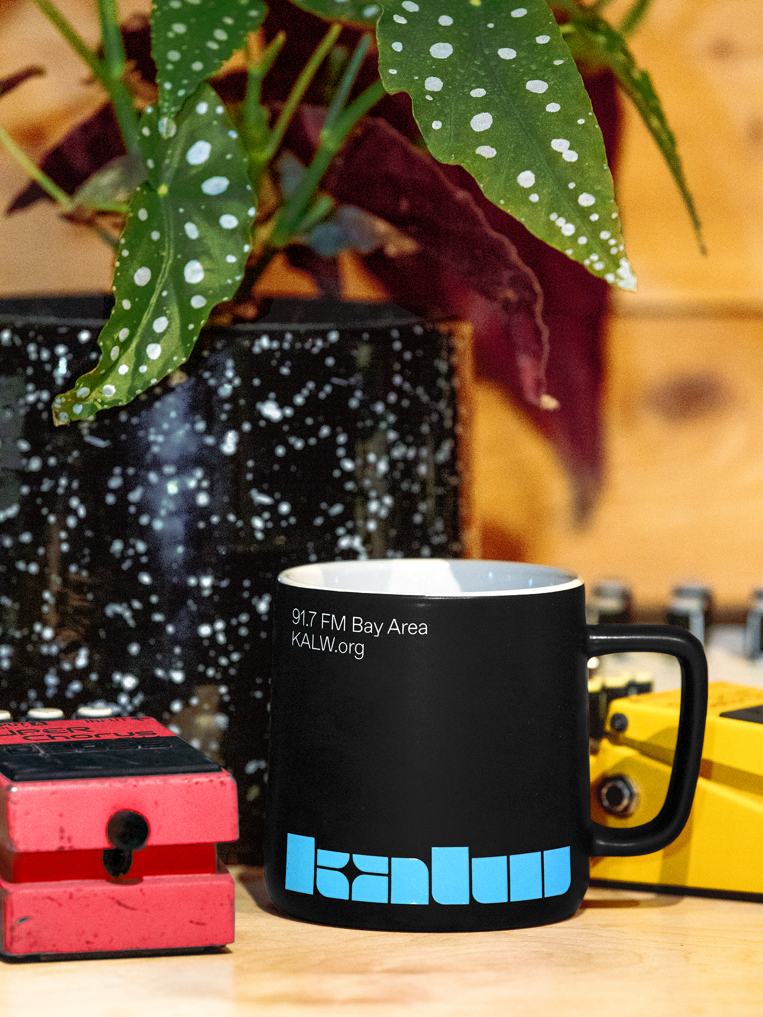 KALW_COLLINS_Mug