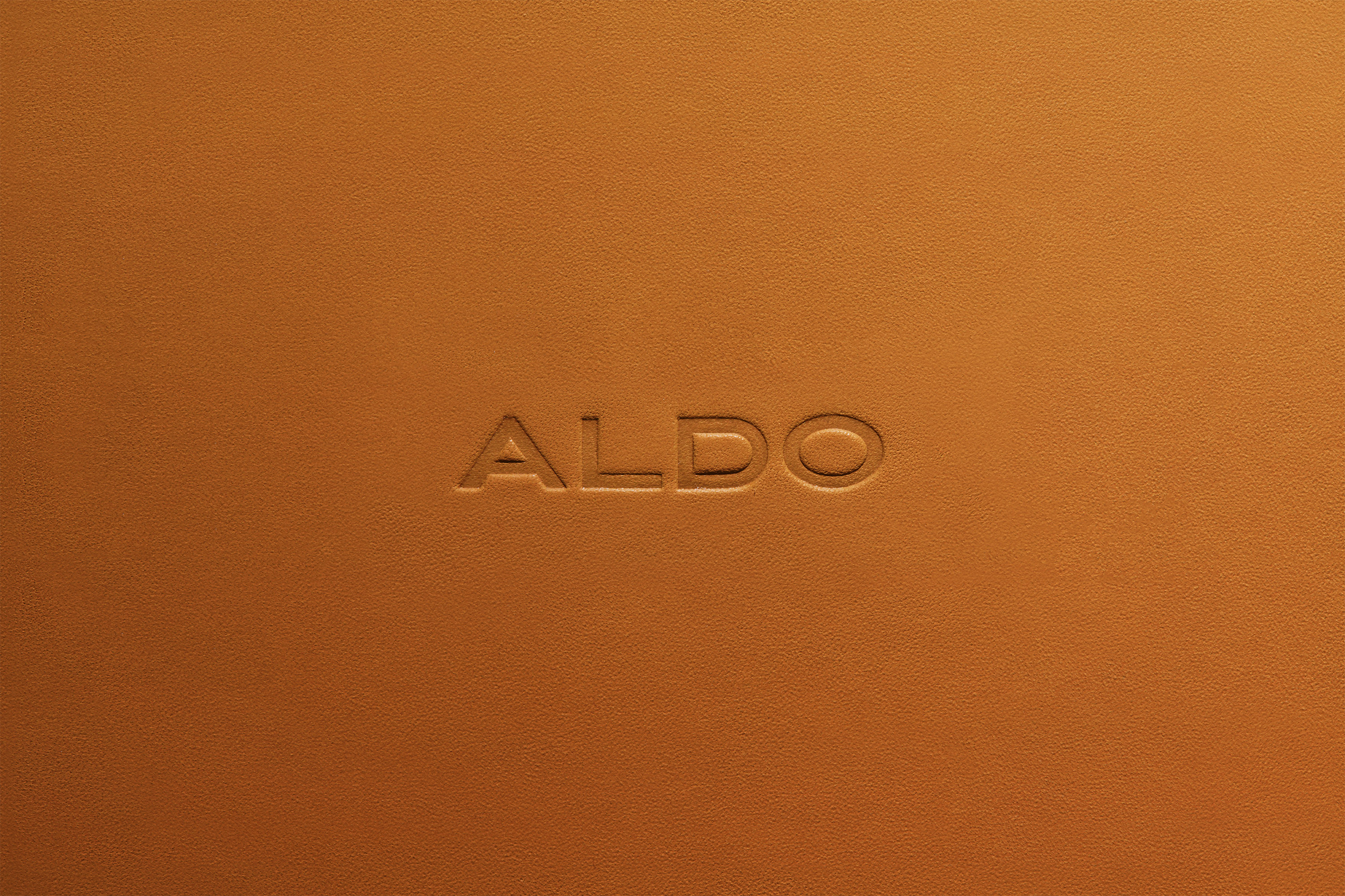 Aldo | COLLINS